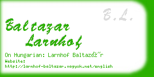 baltazar larnhof business card